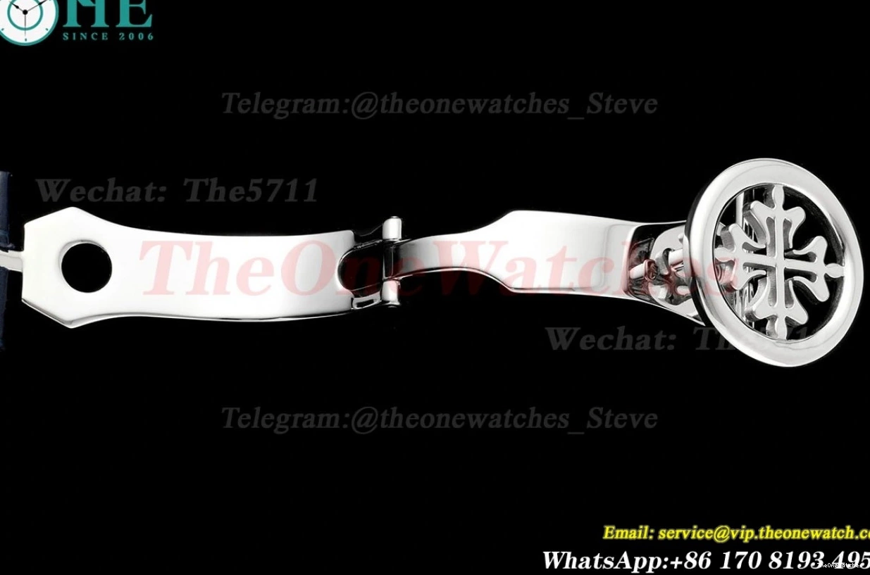 Sky Dial 42mm SS Complications Tourb RMSF LE Starry 0420